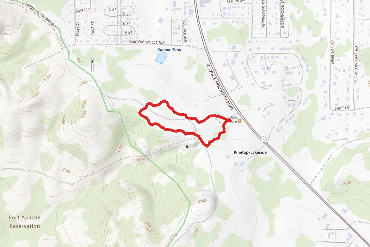 Mogollon Rim Interpretive Trail