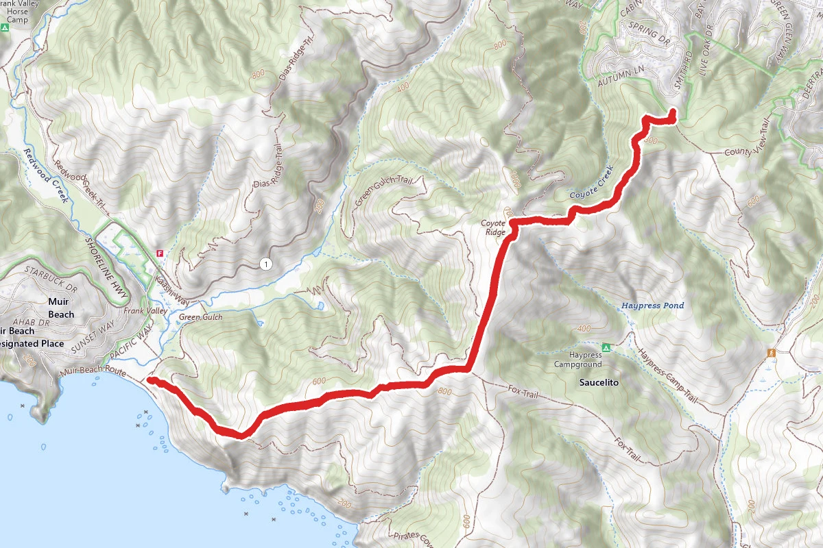 Coyote Ridge Trail to Muir Beach