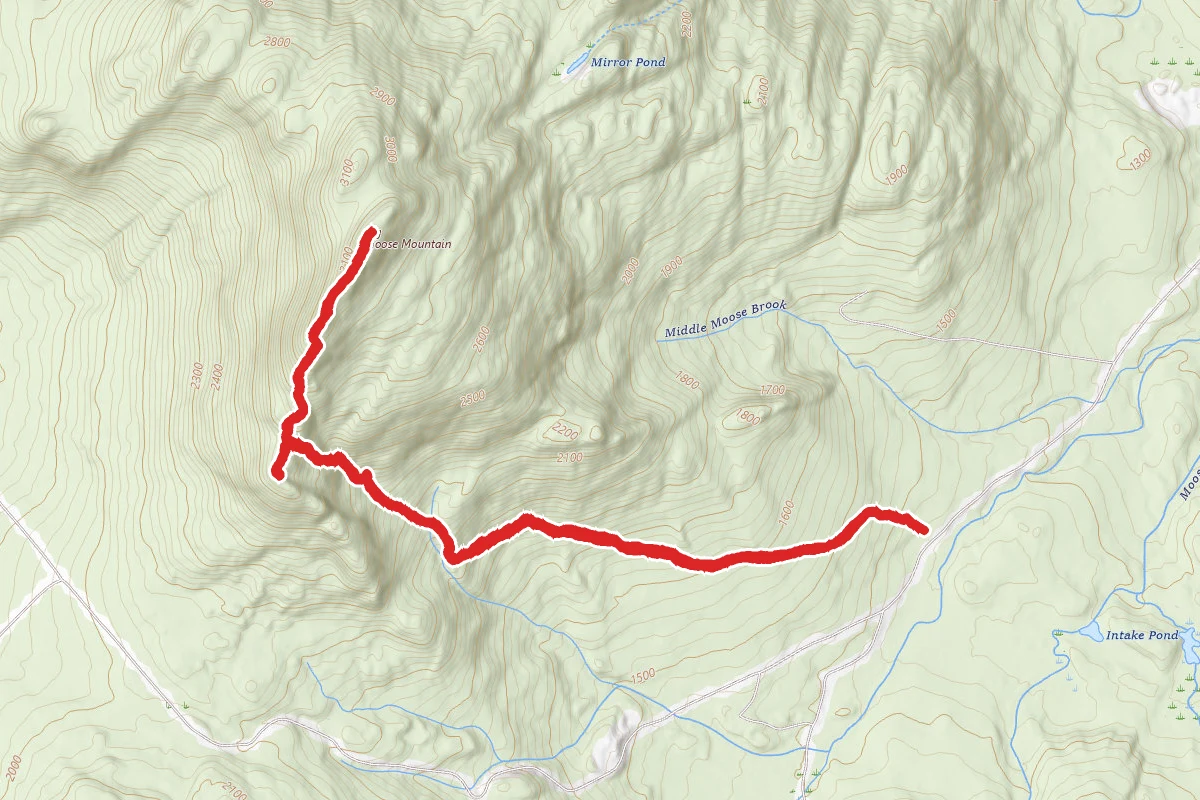Big Moose Mountain Trail