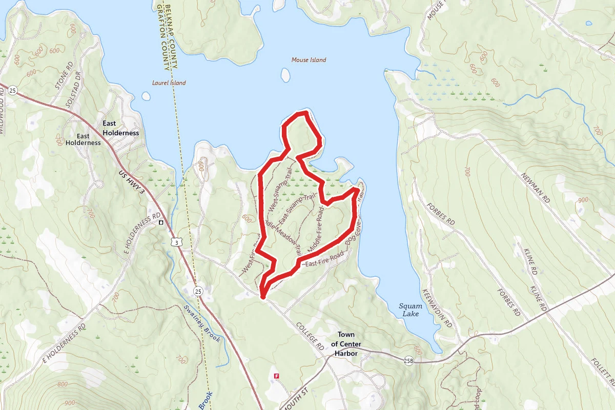 Chamberlain-Reynolds Memorial Forest Loop