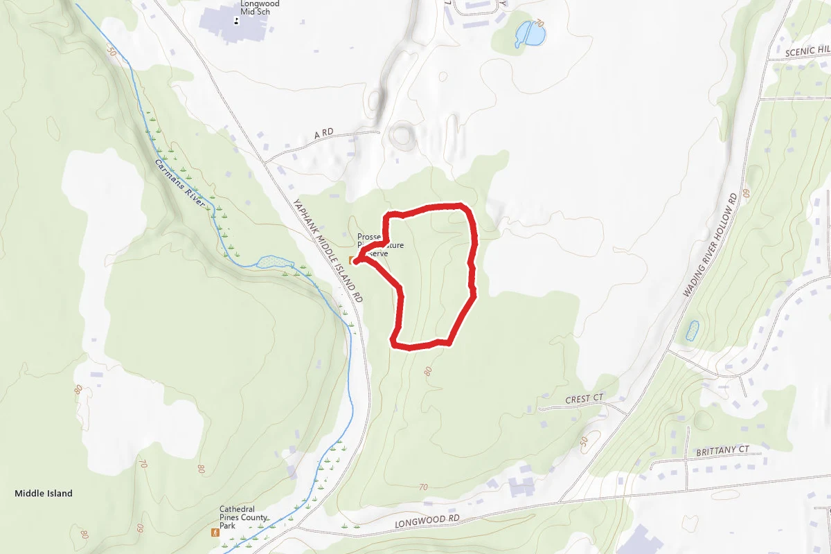 Prosser Pines Loop Trail