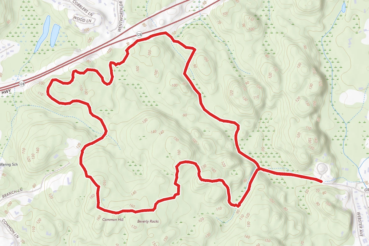 Common Hill Loop