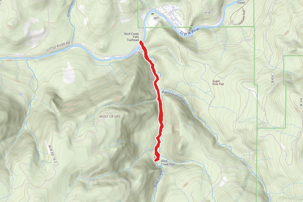 Wolf Creek Falls Trail