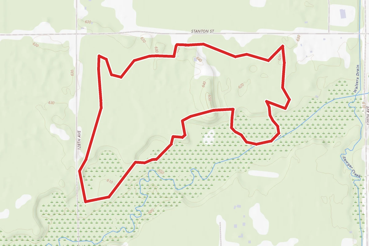 Red Pine Loop