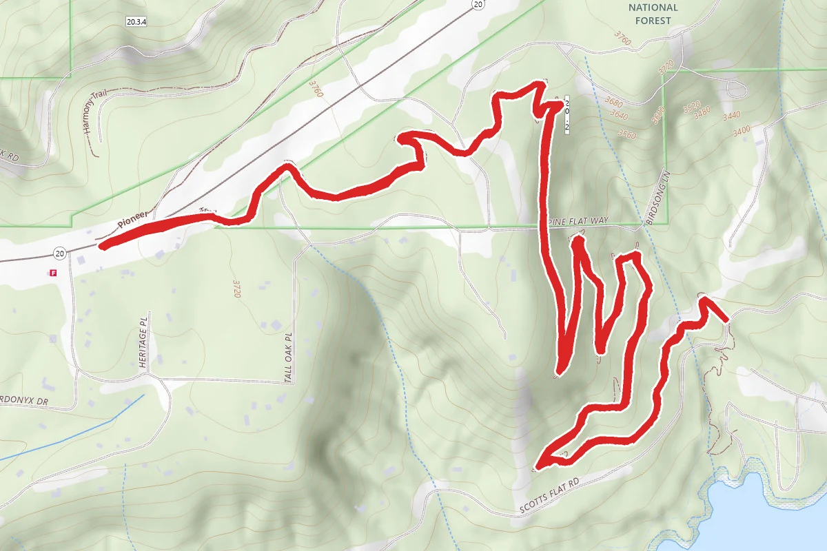 Scotts Flat Trail