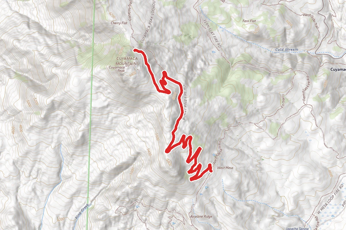 Burnt Pine Trail