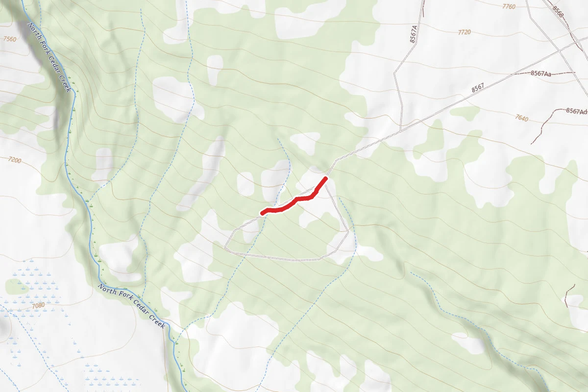 Blm Route 8567Ac