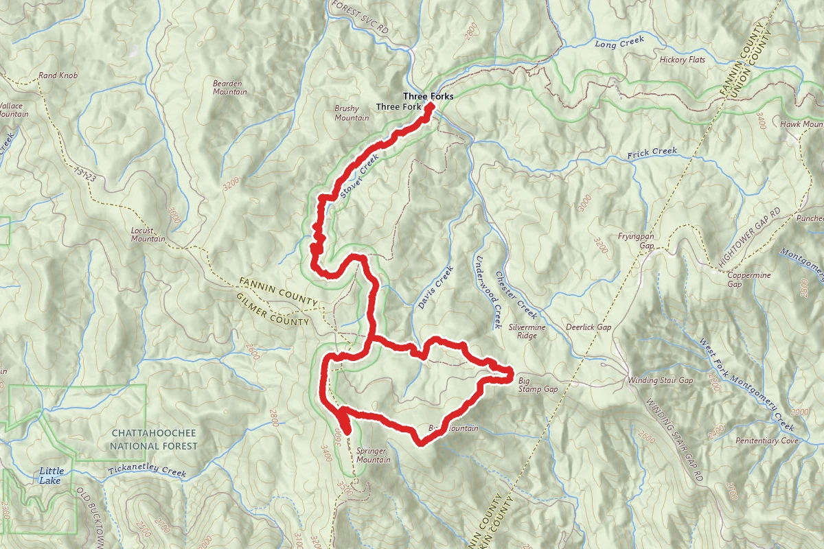 Springer Mountain via Appalachian Trail