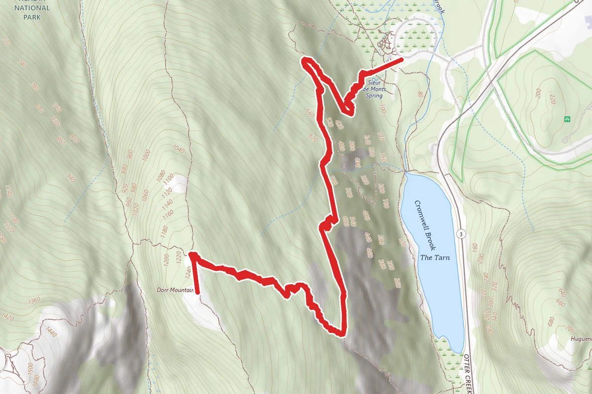 Schiff Path to Dorr Mountain