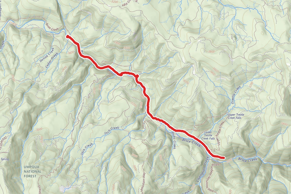 Brice Creek Trail