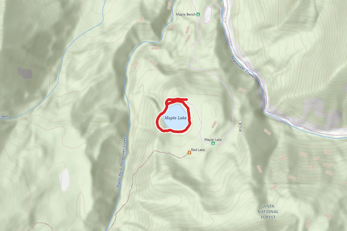Maple Lake Rim