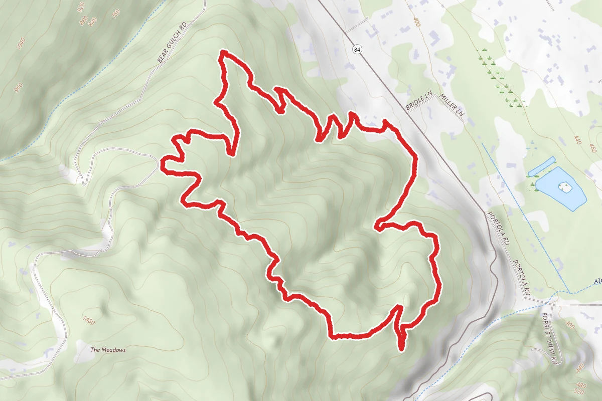 Alambique, Redwood, and Bear Gulch Loop
