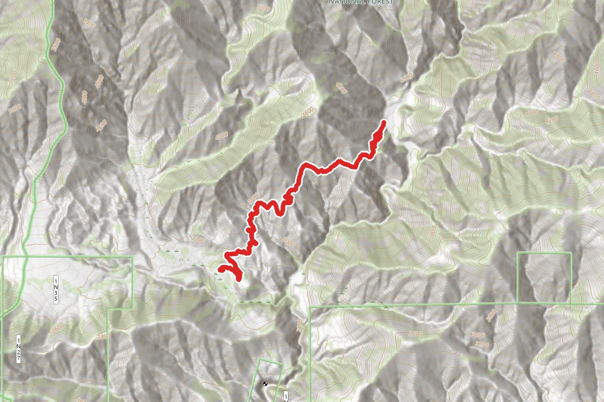 Icehouse Canyon to Cucamonga Peak Trail
