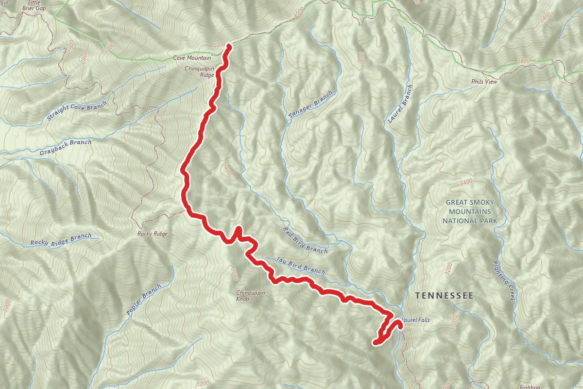 Laurel Falls Trail