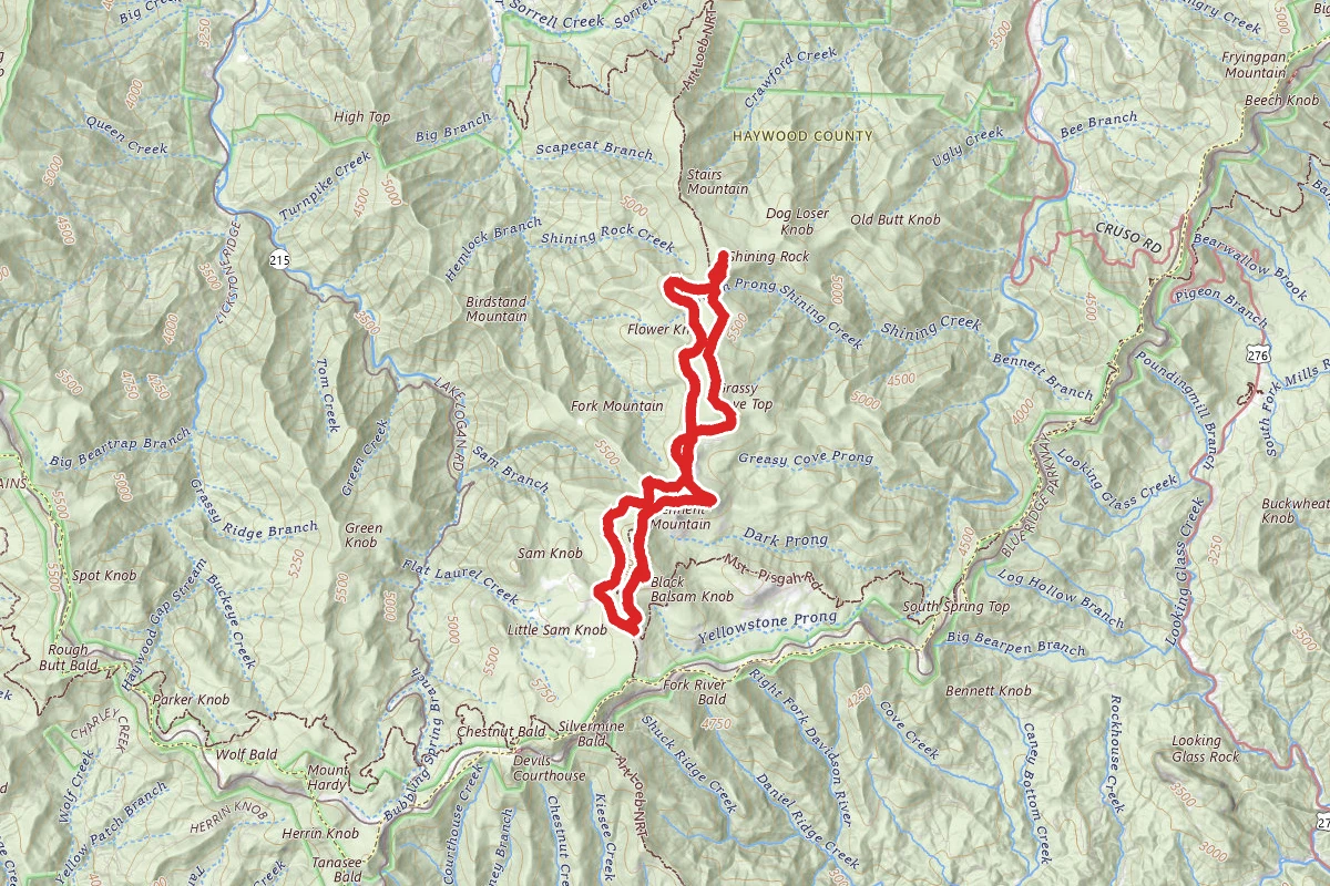 Shining Rock Wilderness Loop via Art Loeb Trail