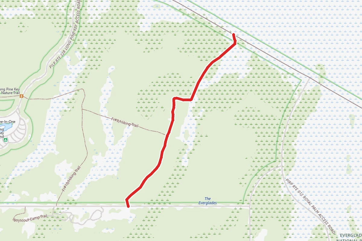 FR#11/Hiking Trail