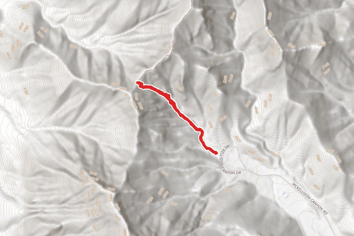 Ron Coleman Trail
