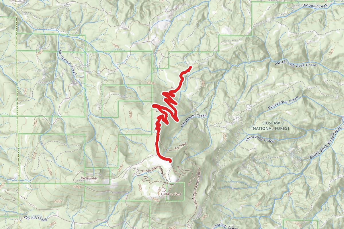 North Ridge Trail to Marys Peak