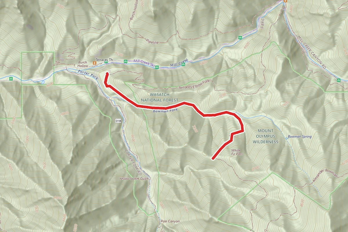 Bowman Fork to White Fir Pass