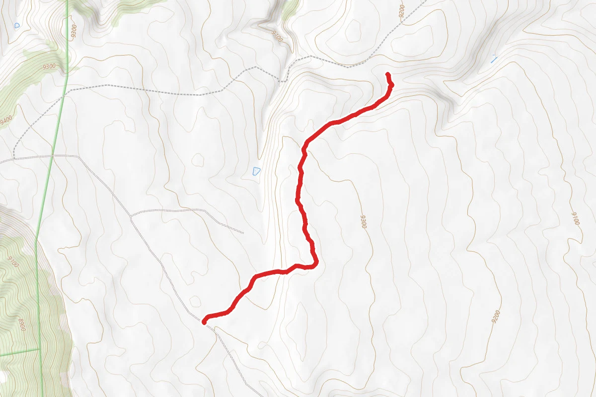 Horned Owl Road