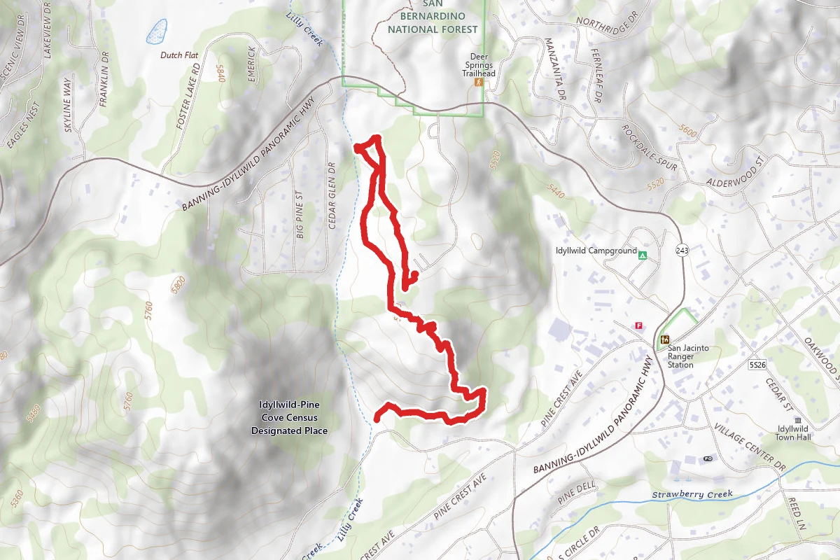 Idyllwild Park Trail