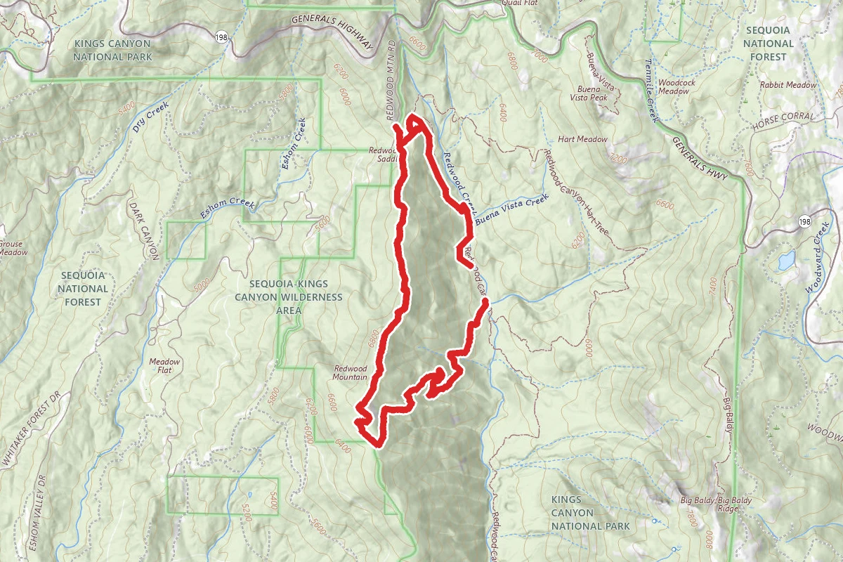 Sugar Bowl - Redwood Creek Loop