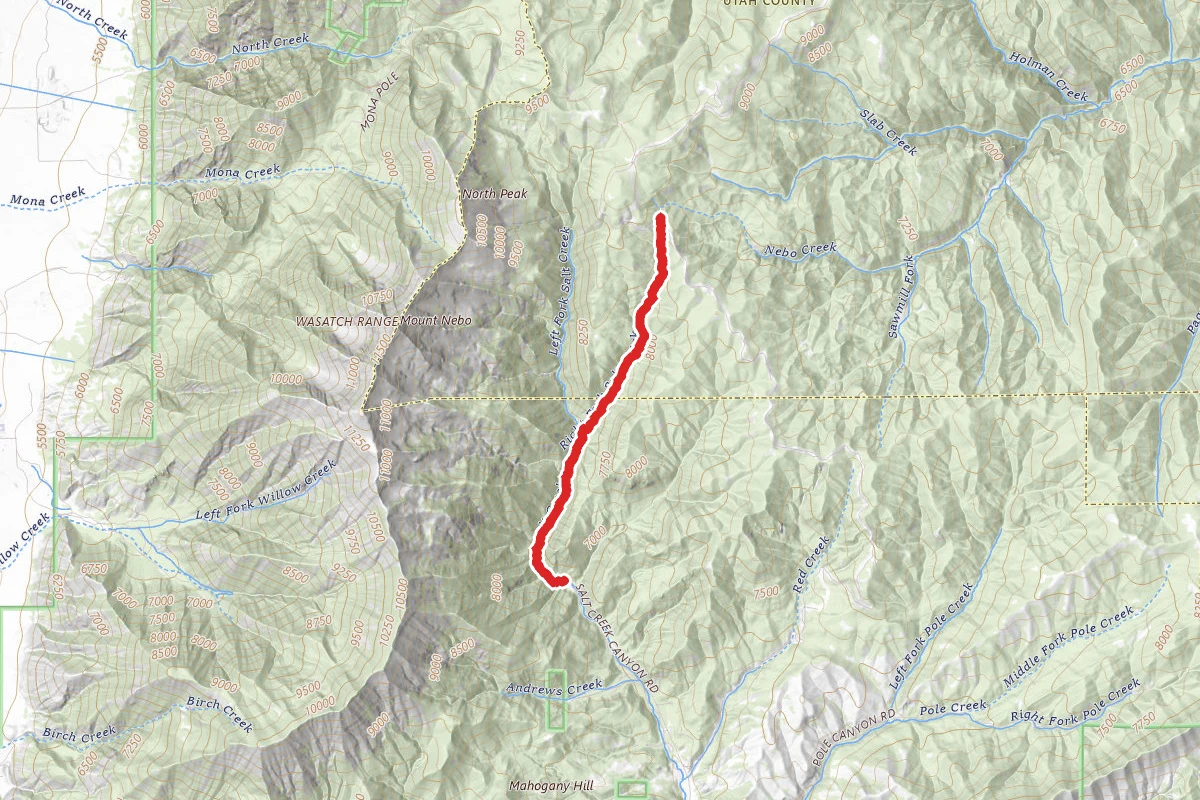 Right Fork Salt Creek