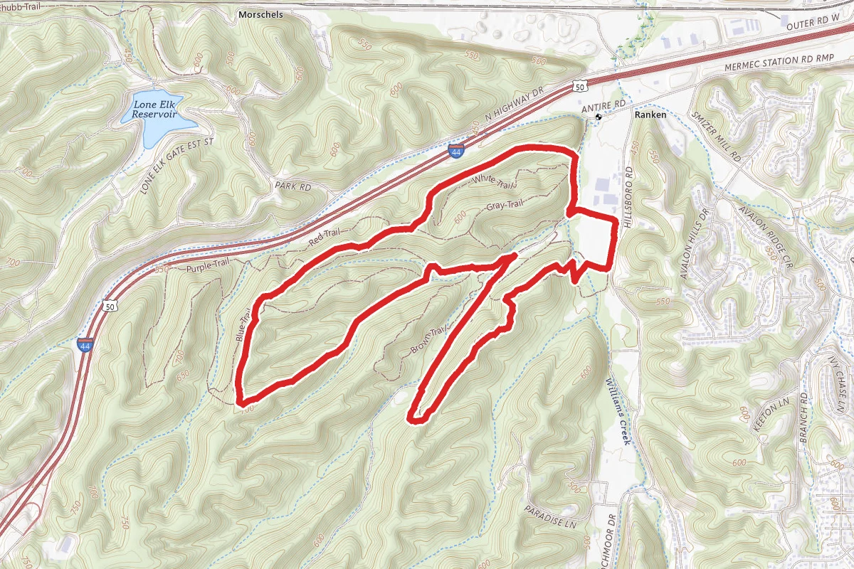 Yellow Trail and Dogwood Ridge Loop