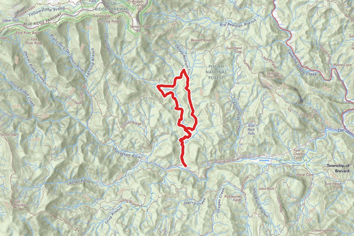 Cove Creek and Caney Bottom Trail