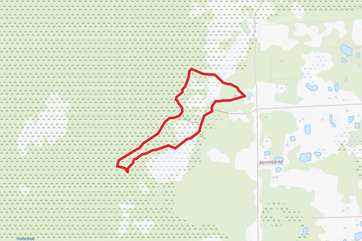 Corkscrew Swamp Sanctuary Trail
