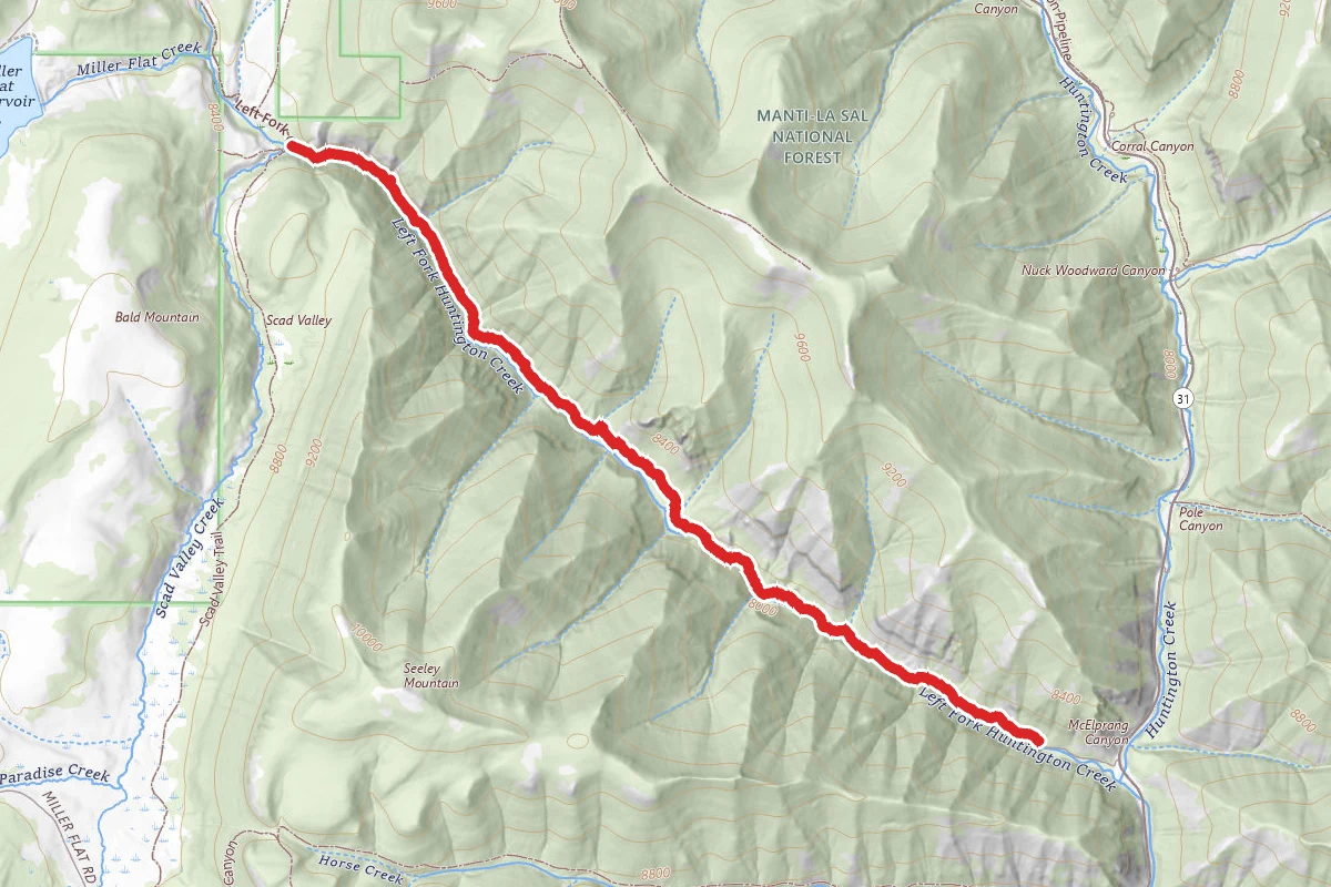 Left Fork of Huntington