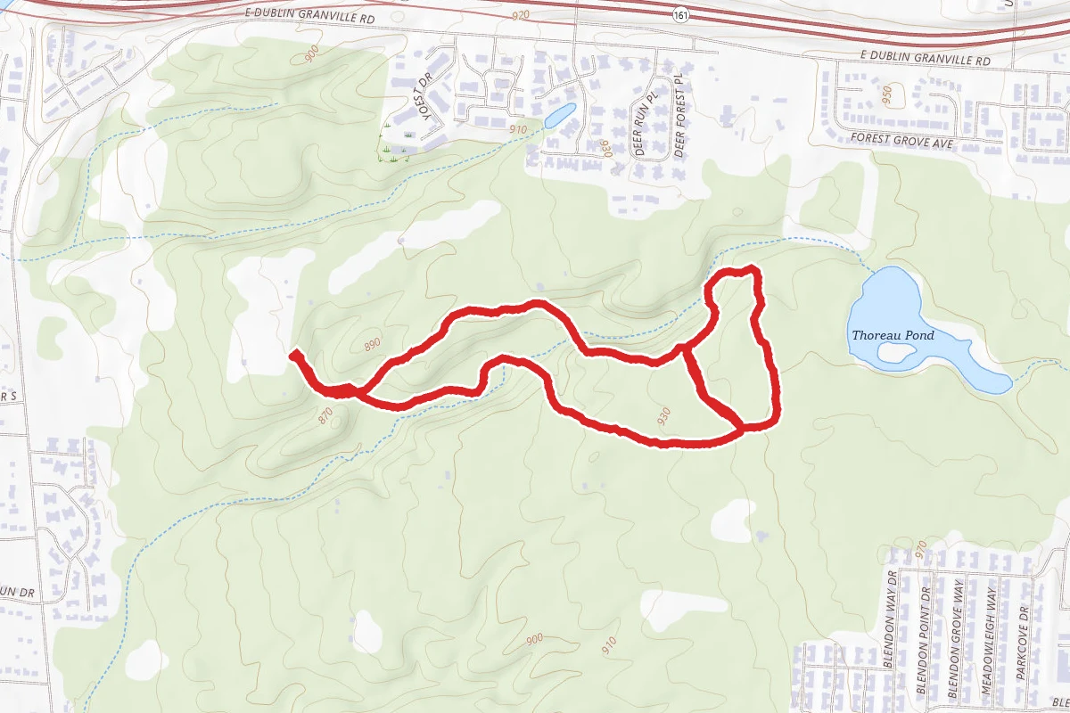 Blendon Woods Loop