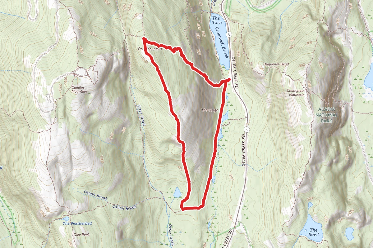 Dorr Mountain Cannon Brook Loop Trail