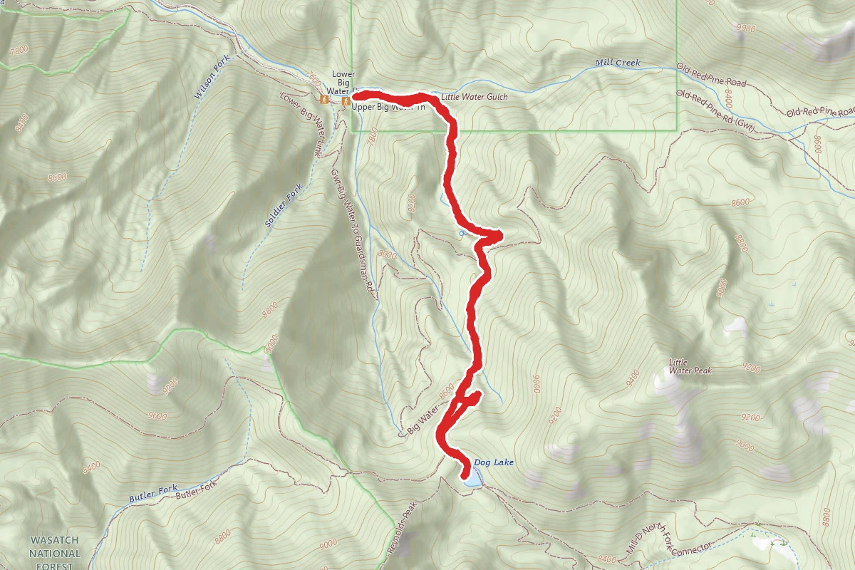 Dog Lake via Little Water Trail