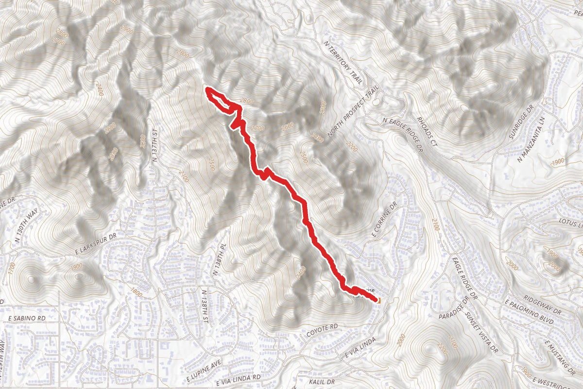 Sunrise Peak via Sunrise Trail