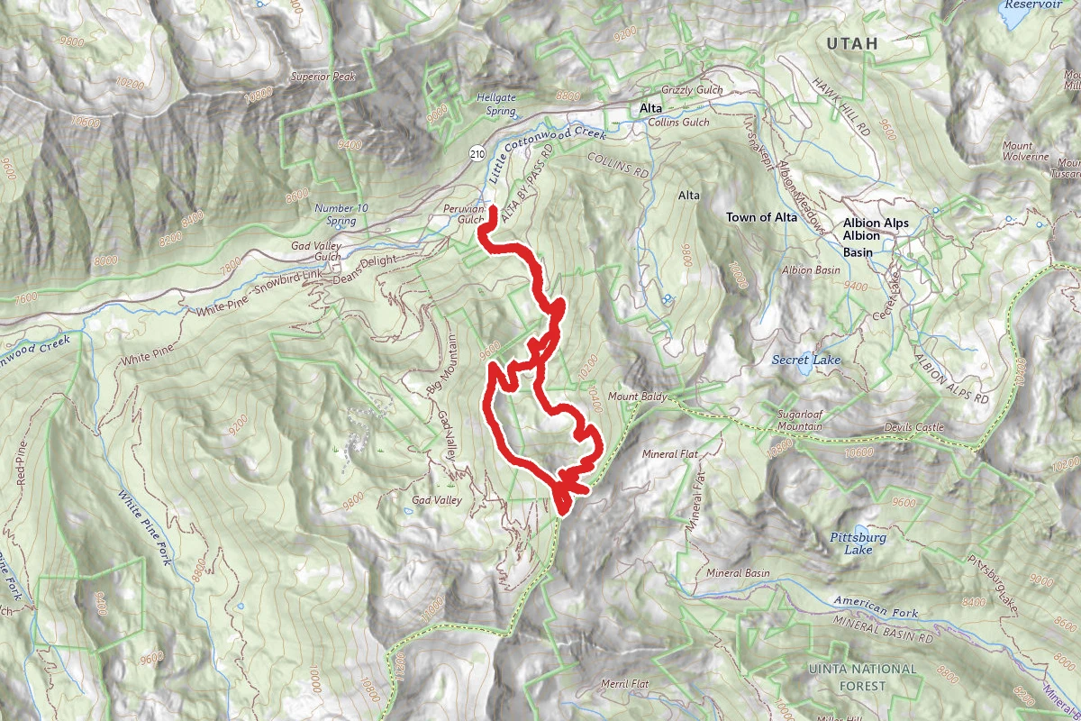 Peruvian Gulch via Blackjack Trail