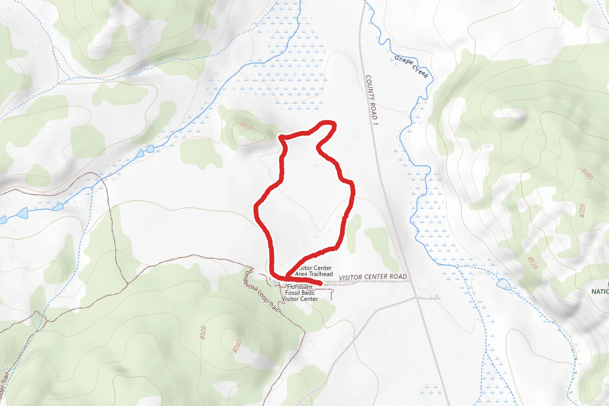 Petrified Forest Loop and Ponderosa Loop Trails