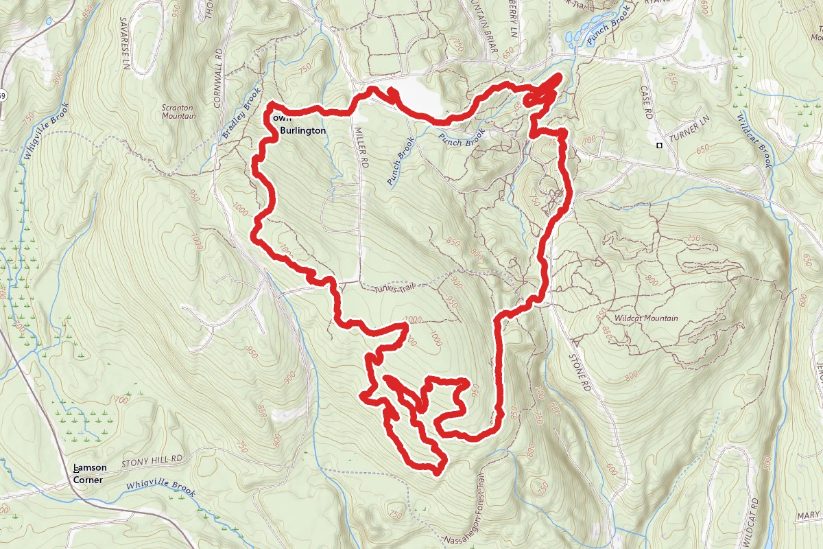 Nassahegon Forest Trail Loop