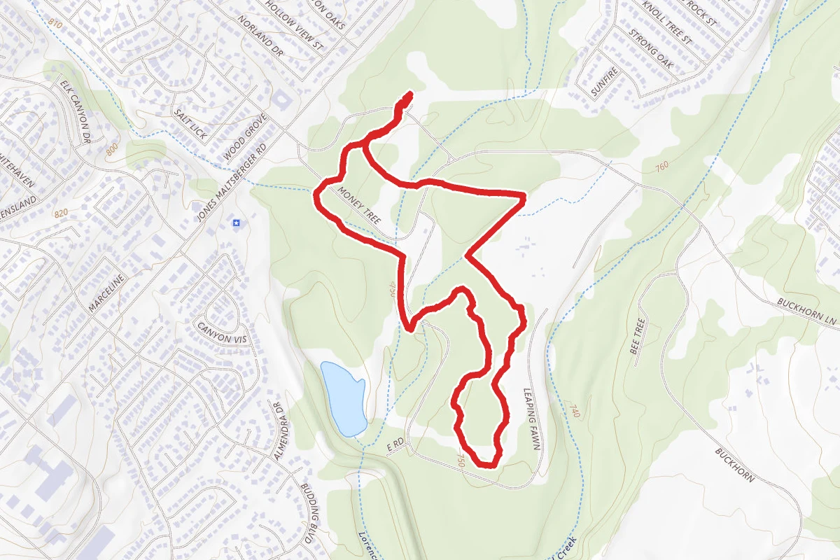 McAllister Park Loop