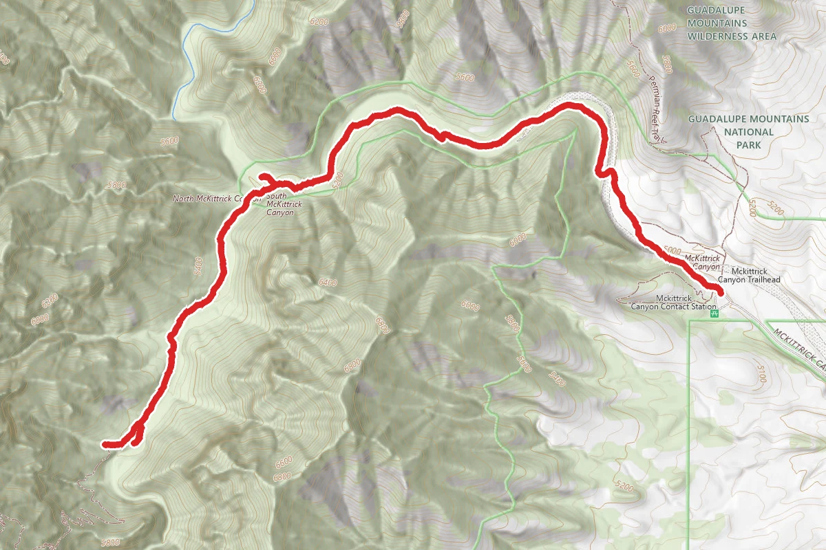 McKittrick Canyon Trail (Shorter Option)