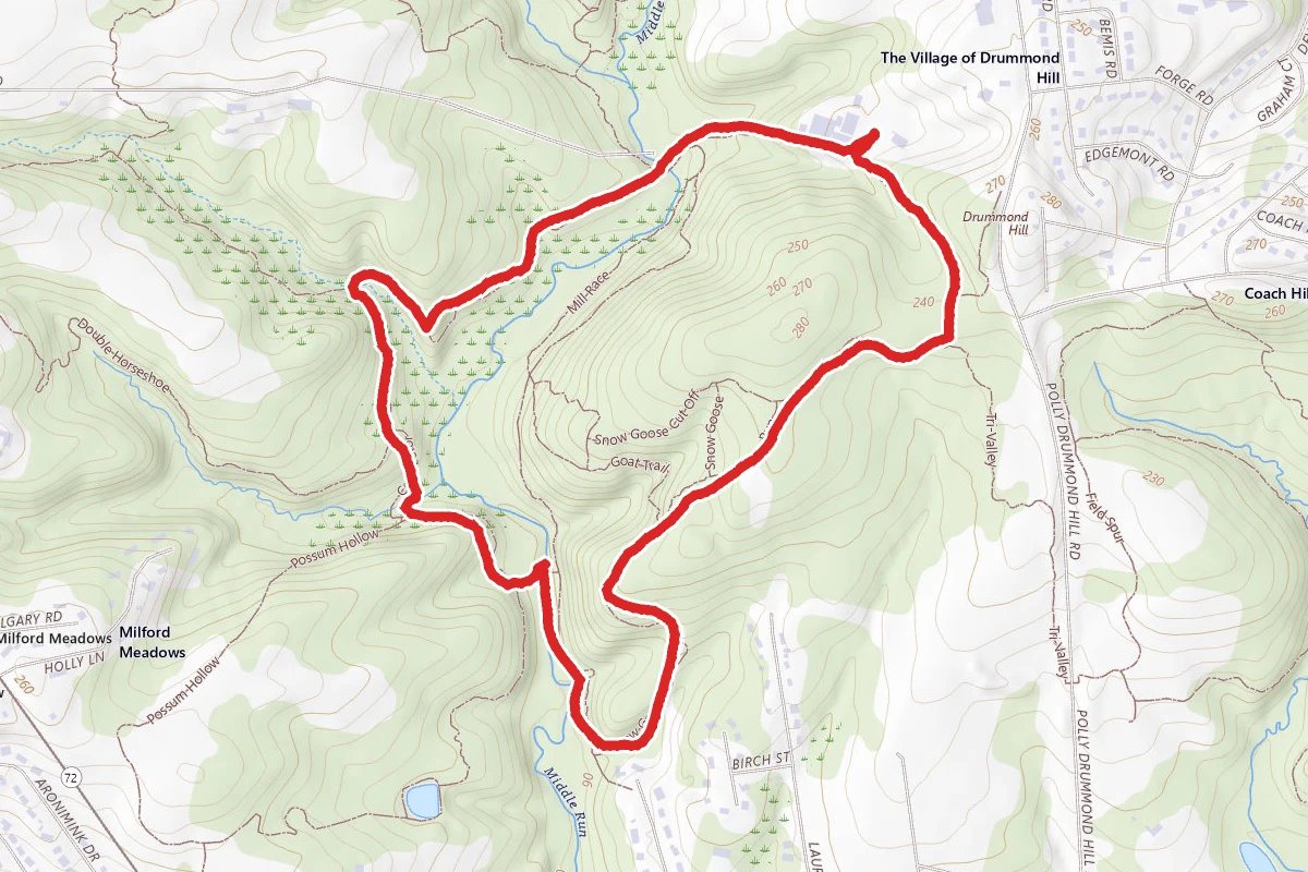 Snow Goose Loop