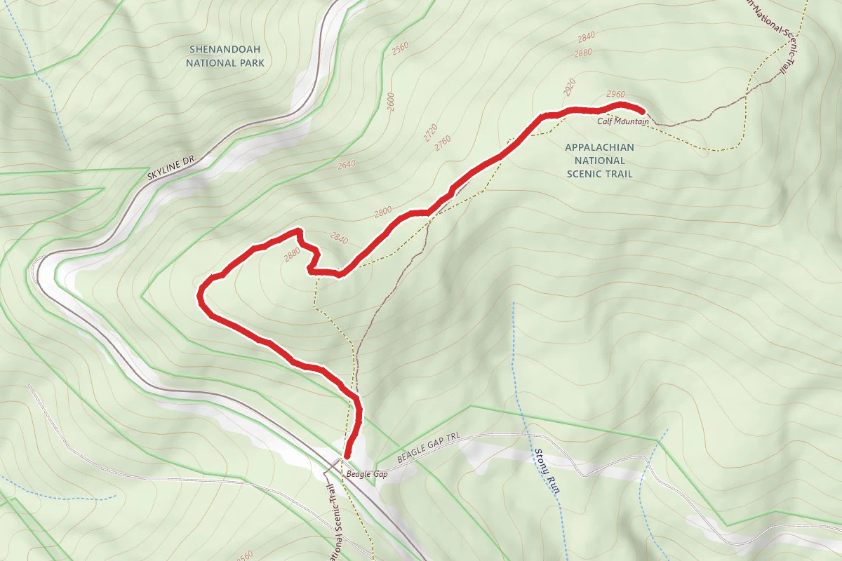 Calf Mountain Trail