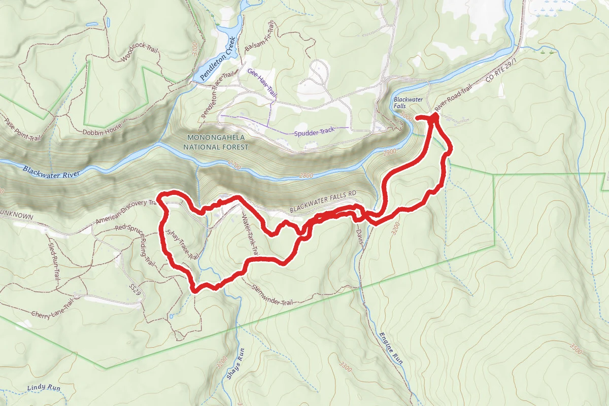 Elakala to Yellow Birch Trail