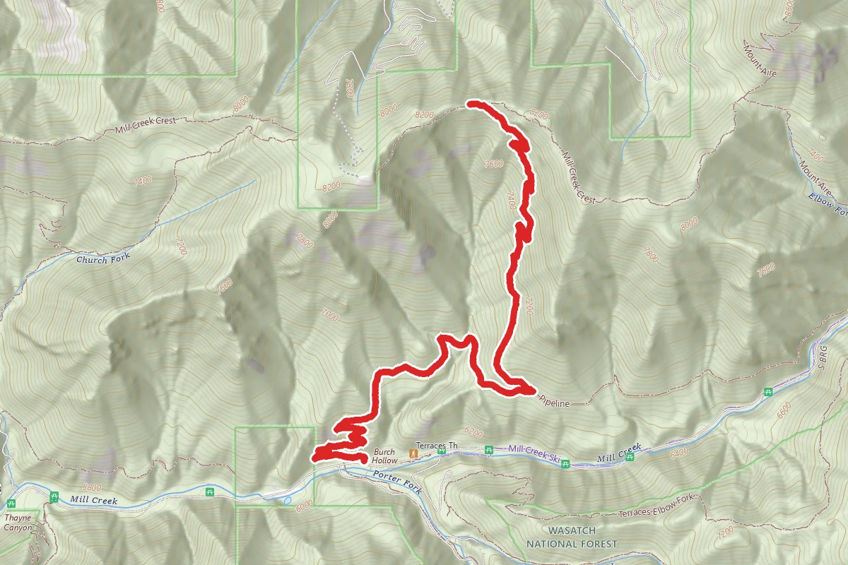 Burch Hollow Trail