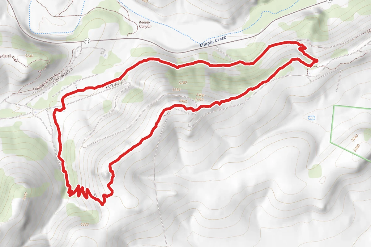 Old CCC and Skyline Drive Trail