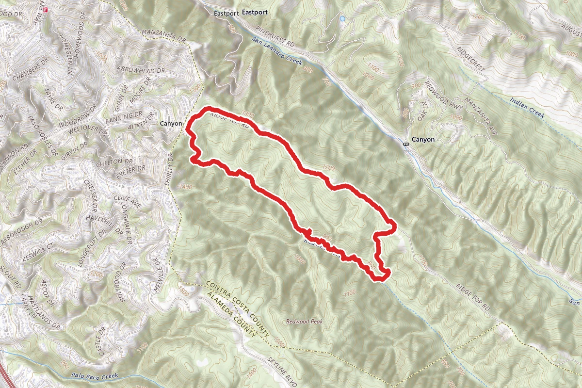 Stream Trail, Prince Trail, and East Ridge Trail Loop