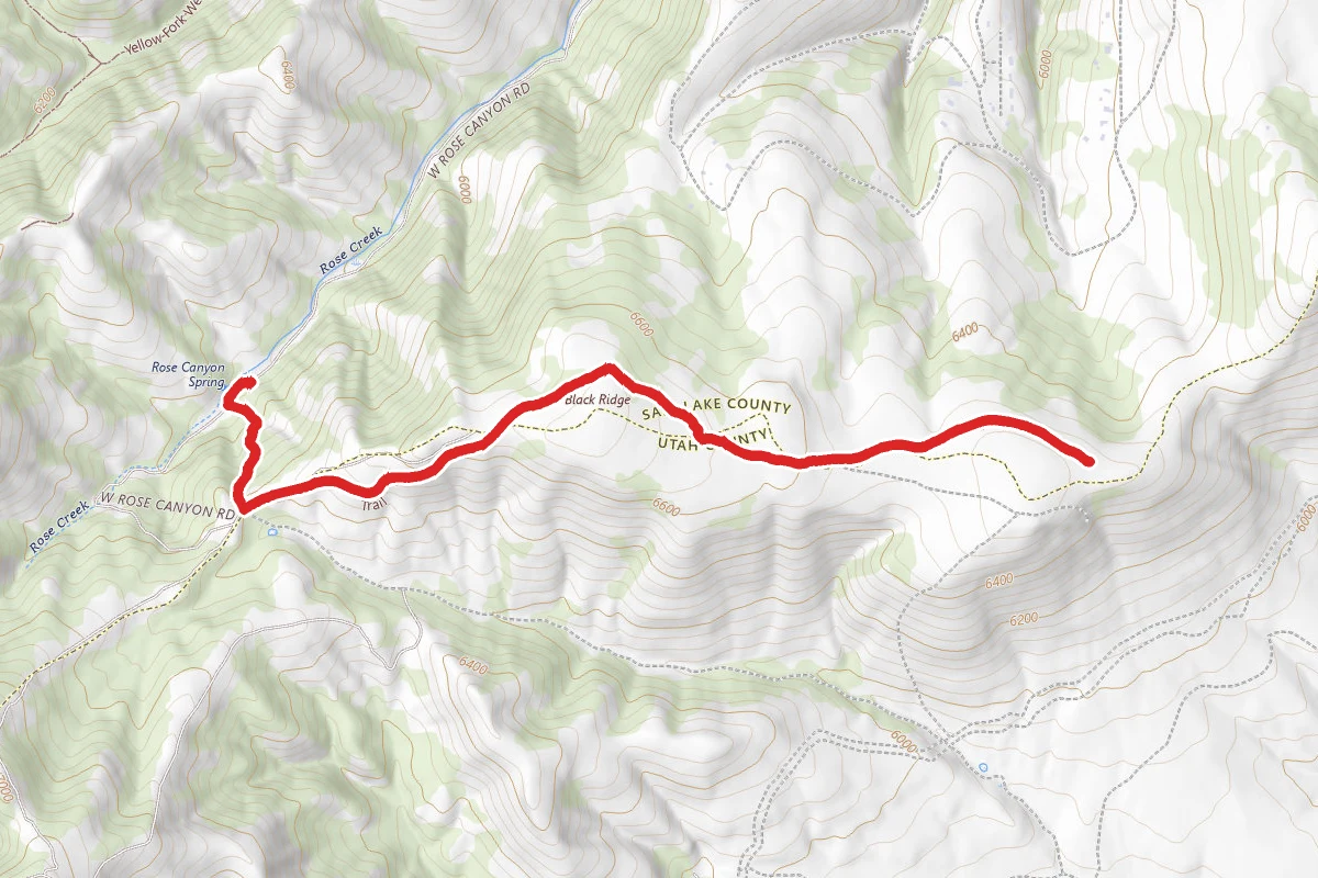 Black Ridge Trail