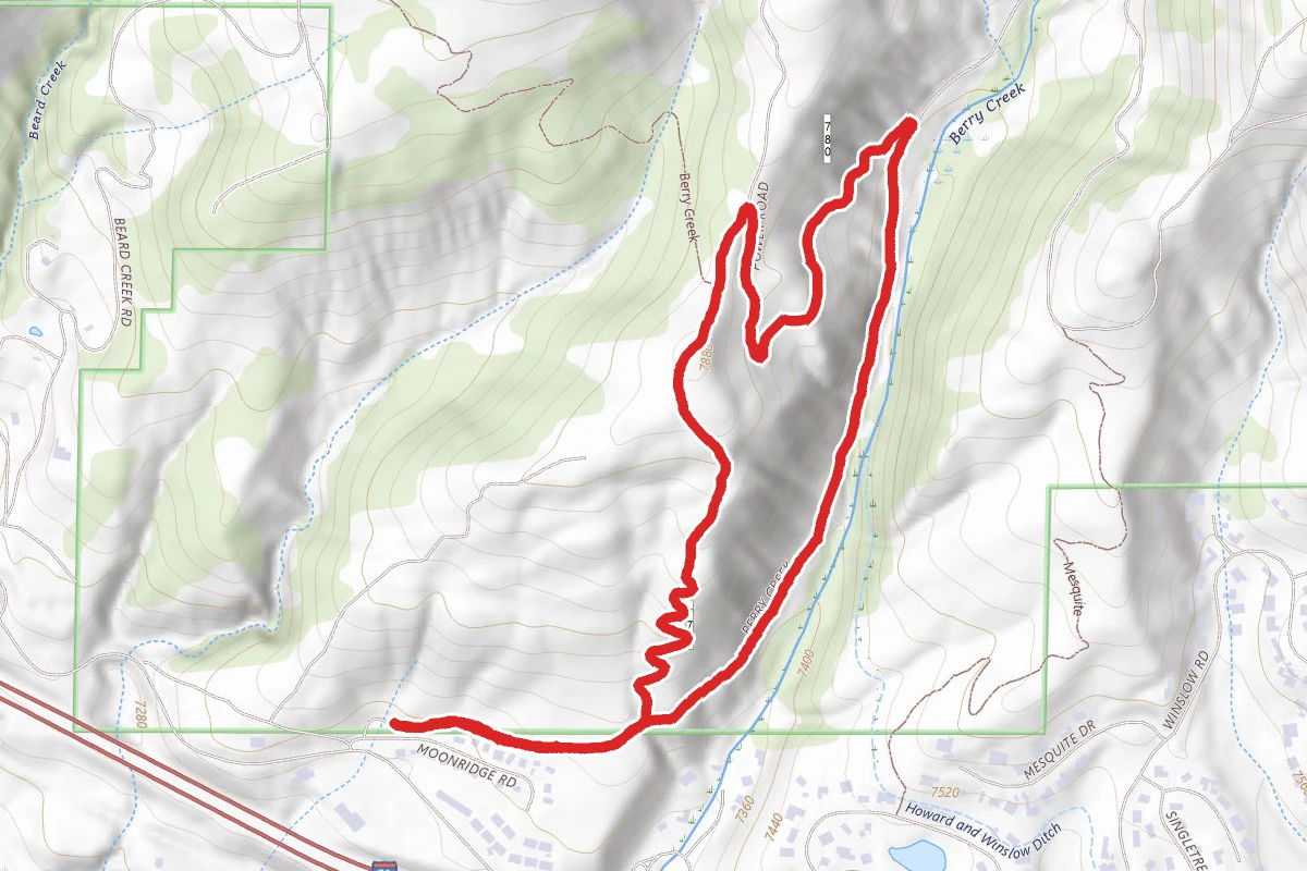 Berry Creek Loop