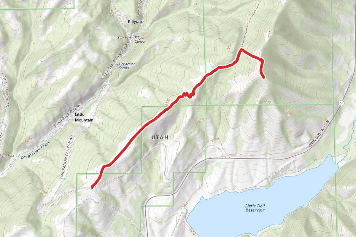 Little Mountain Trail