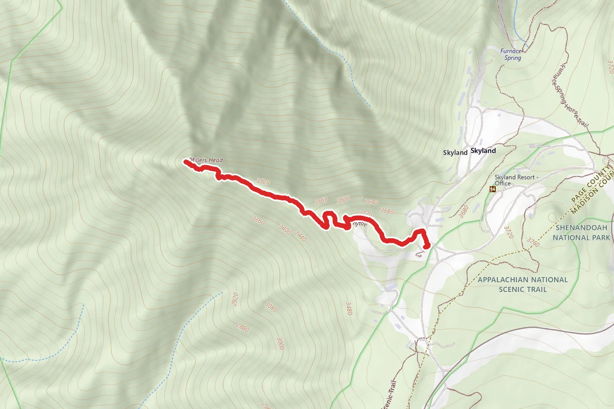 Millers Head Trail